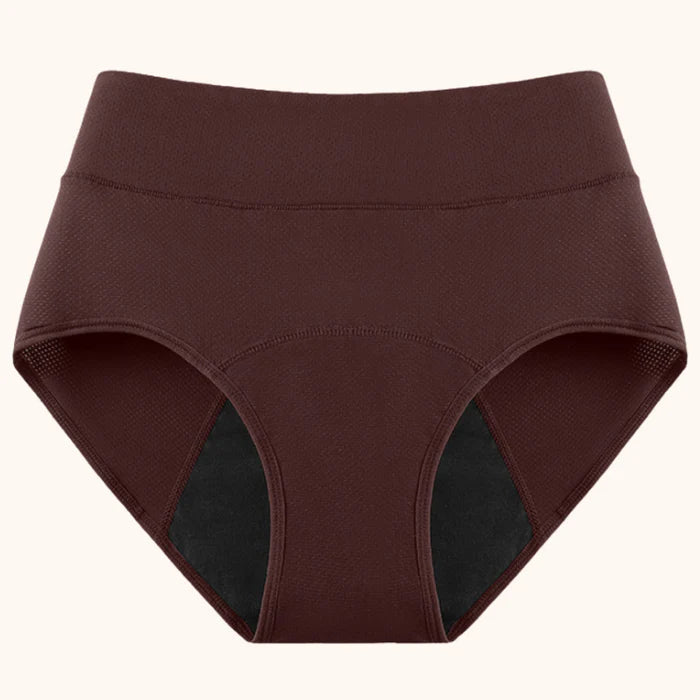 Reusable Incontinence Leakproof Underwear