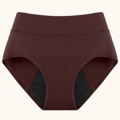 Reusable Incontinence Leakproof Underwear